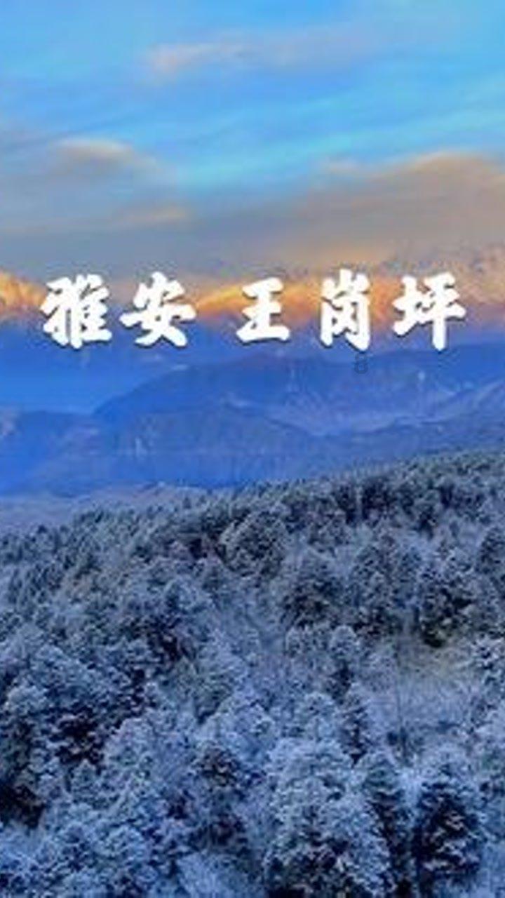 老伴去世，银行卡中存有多年积蓄但是不知道密码，该怎么办？游戏画面